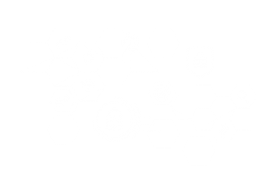 bg-vector